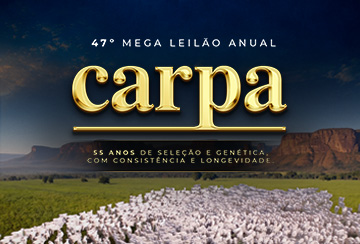 47º MEGA LEILÃO ANUAL CARPA - TOUROS